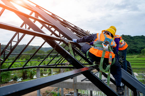 Professional Roofing Contractor in Lake View, AL