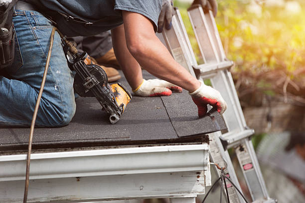 Best Roof Gutter Cleaning  in Lake View, AL